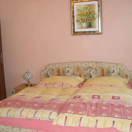 Rak Guest house Karlovy Vary